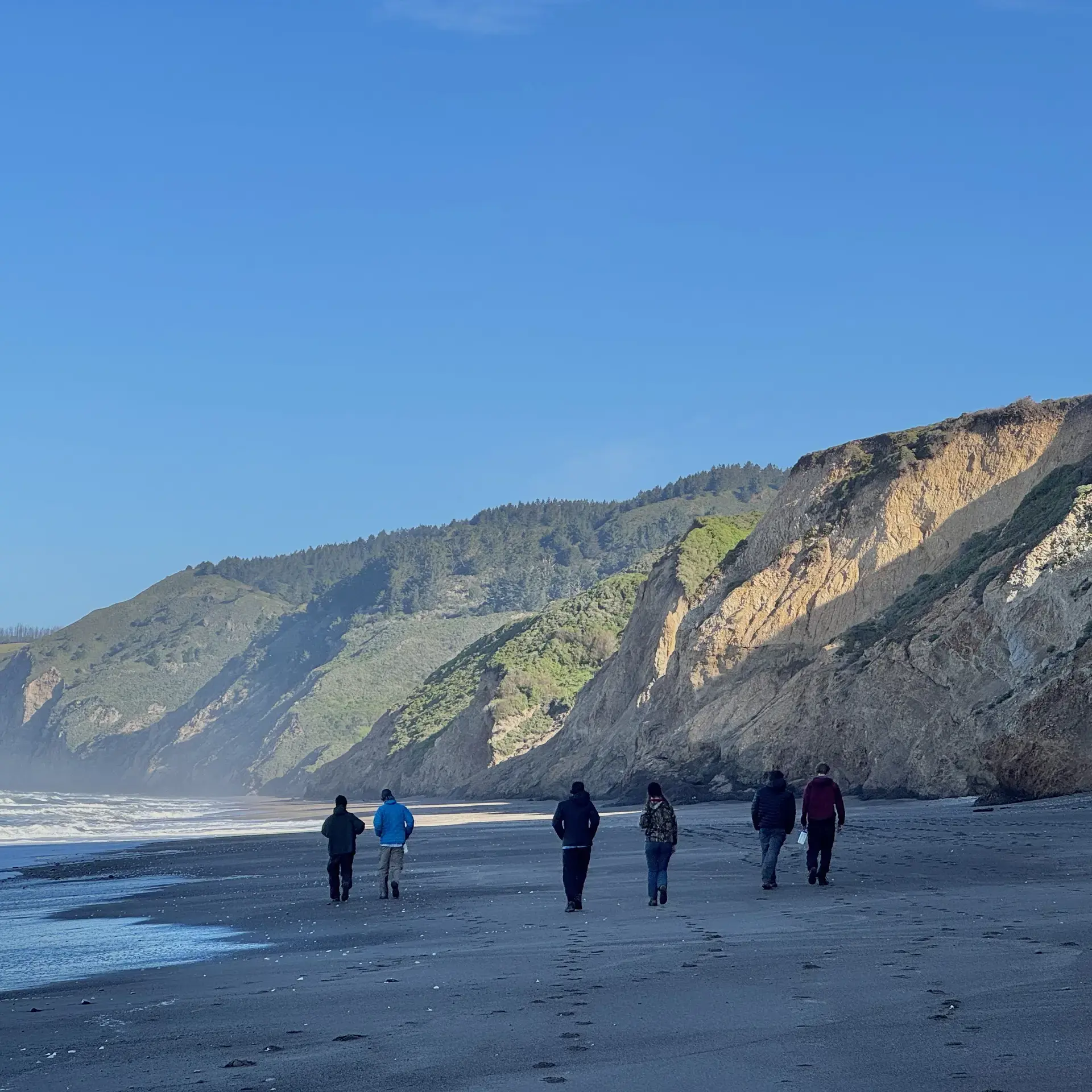 Students walking along beach
