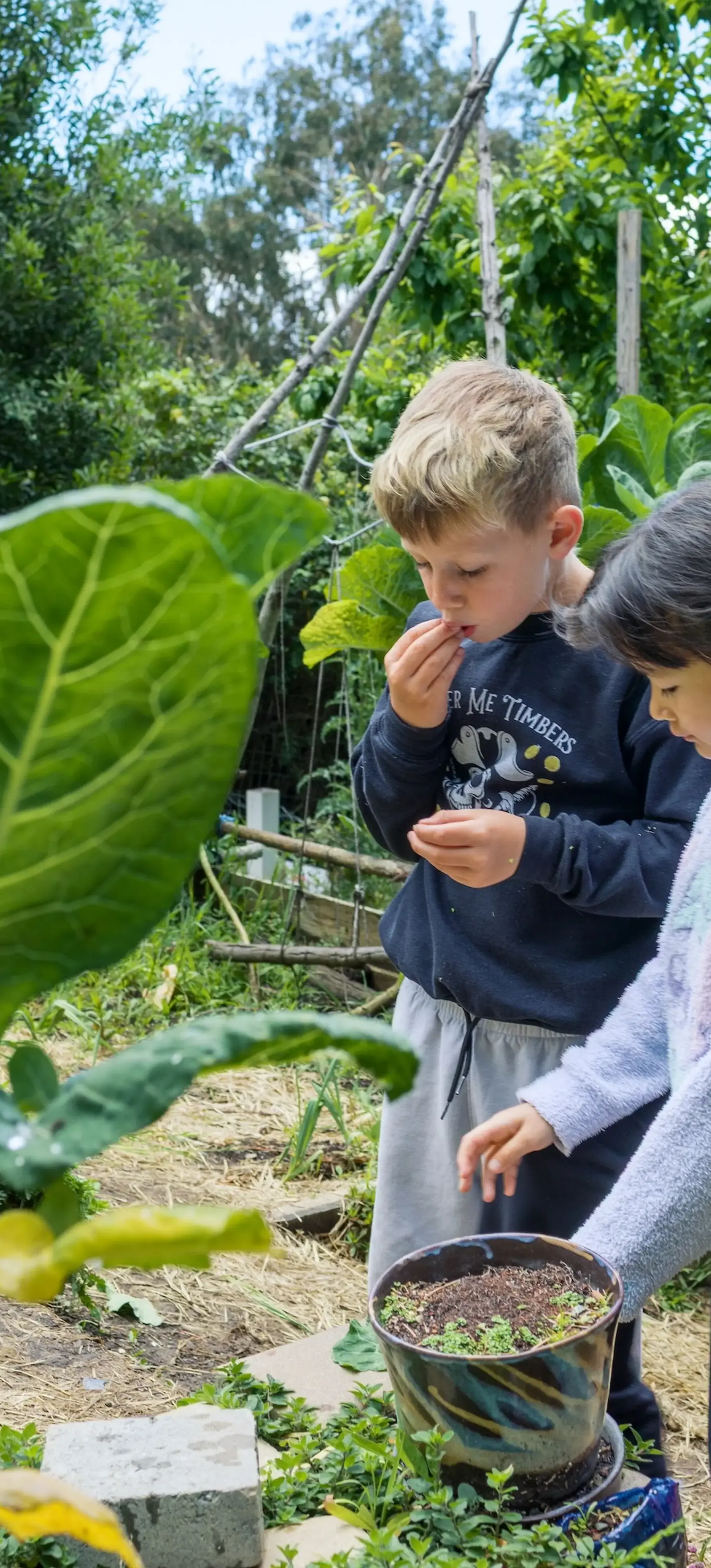 Lower School boy and girl harvesting in the Garden. 